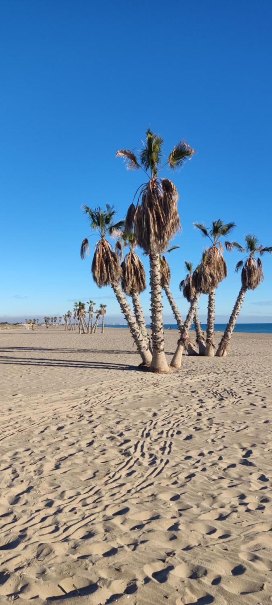 Balcon Del Mar Apartment Canet d'En Berenguer ภายนอก รูปภาพ
